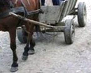 Minoră accidentată la Hudești datorită neatenției