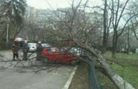 Sfaturi de la pompieri pentru evitarea unor situații de urgență generate de vântul puternic