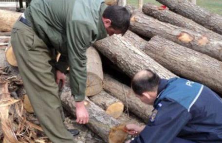 Material lemnos fără documente legale, confiscat de poliţiştii botoșăneni