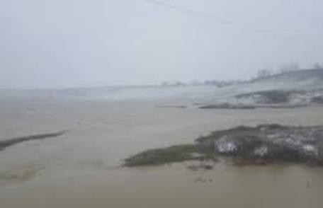 Optzeci de hectare de pășune, inundate după ce râul Jijia a ieşit din matcă