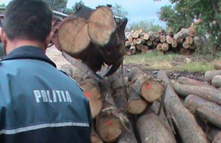 Transport de lemne, cu iz penal. Controalele în trafic și la trei societăți, au adus amenzi de 7 mii lei