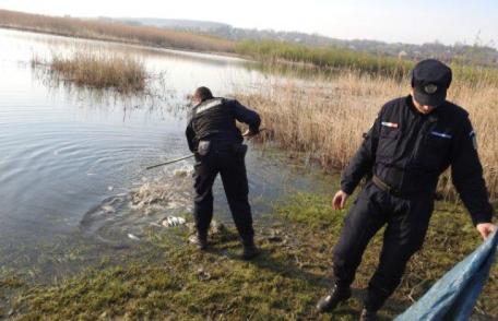 Doi bărbați din comuna Mihăileni, prinși de jandarmii suceveni la pescuit ilegal - FOTO