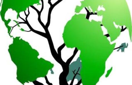 Agenţii economici vor scoate din buzunar 200 de euro pentru etichetă UE ecologică