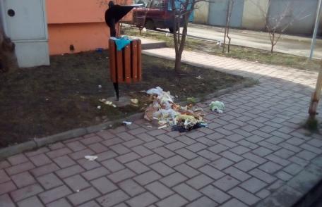 Primim la redacție – Dorohoiul, un oraș frumos, curat, cu oameni harnici și ...gospodari – FOTO