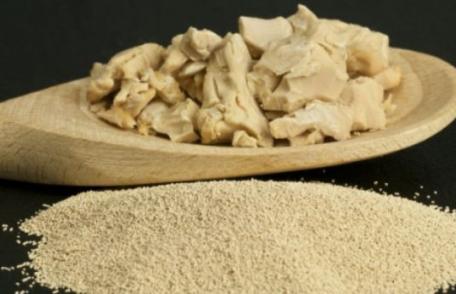 Drojdia de bere, alimentul „miracol”