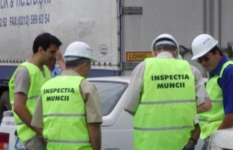 Peste 100 de angajatori verificați de ITM Botoșani în luna aprilie