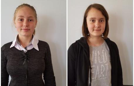 Succese ale școlii ibăneștene la concursurile școlare