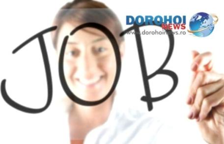 Peste 500 locuri de muncă disponibile în această săptamână în județul Botoşani. Vezi lista posturilor vacante!