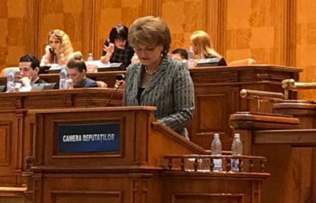 Camera Deputaților a adoptat inițiativa deputatului PSD Mihaela Huncă pentru înființarea centrelor județene de excelență ca unități conexe Ministerulu