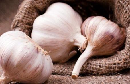 Ce afecțiuni se pot declansă dacă mănânci prea mult usturoi