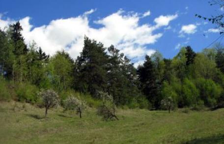 Bătrână decedată, descoperită la marginea unei păduri