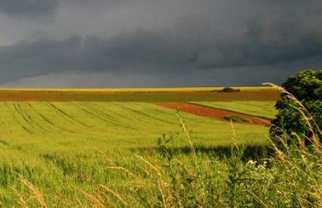 România ocupă primul loc la teren agricol