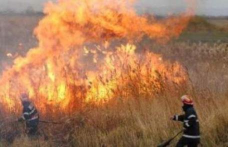 Campanie de recoltare a cerealelor fără incendii!