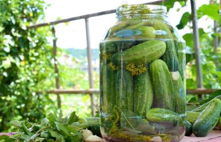 Castraveţi muraţi de vară