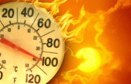 Primăria Municipiului Dorohoi: În atenţia conducerilor instituţiilor publice şi operatorilor economici