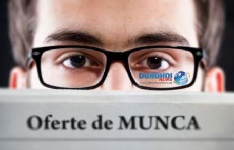 AJOFM Botoșani: Peste o mie de locuri de muncă disponibile în județ!