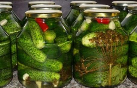 Castraveţi muraţi în saramură. Reţeta bunicii!