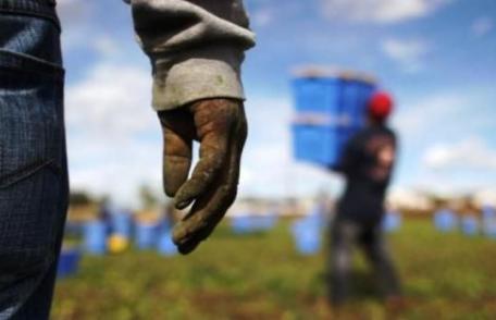 Nou caz de sclavie cu români în Italia