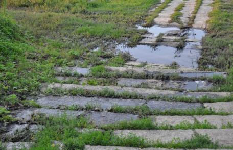 Primim la redacţie - Canalizare înfundată şi dejecţii revărsate pe Valea Ţiganului - FOTO