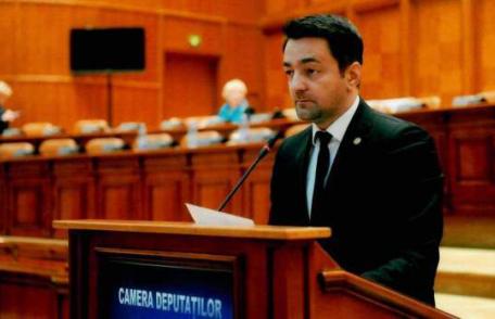 Rotaru: „Mai puține păduri tăiate ilegal în ultimile șase luni”