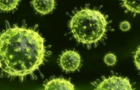 Virusul care provoacă cea mai mare mortalitate din Europa. Afectează atât femeile, cât și bărbații