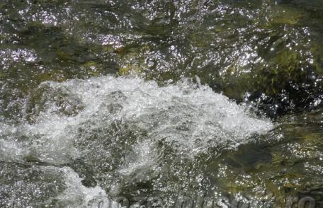 Dorohoiul va avea un baraj pe pârâul Buhai