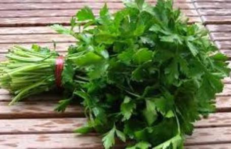 Ai pus mărar şi pătrunjel la congelator în pungi de plastic? Mare greşeală. Iată de ce!