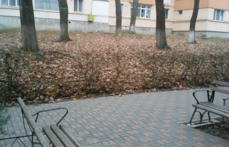 Primim la redacţie – „Peisaj dezolant la doi pași de Primărie” – FOTO