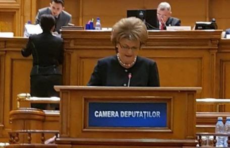 Mihaela Huncă: „Îi propun ministrului educației să dezvoltăm cadrul legal privind relația dintre piața forței de muncă și comunitatea profesorilor