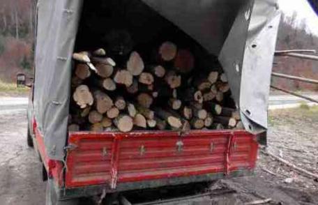 Transport ilegal de lemne confiscat de polițiștii botoșăneni