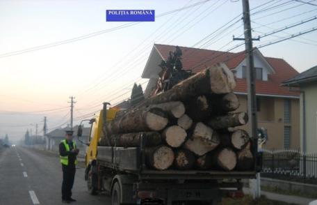S-a ales cu o amendă usturătoare și materialul lemnos confiscat