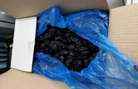 Sute de kilograme de prune uscate confiscate de poliţiştii de frontieră botoșăneni - FOTO