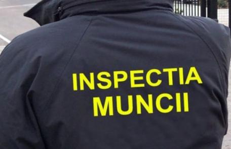 Val de controale la firmele din județul Botoșani. Află ce nereguli au găsit inspectorii ITM!