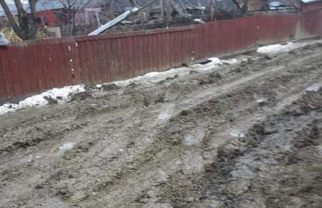 Primim la redacţie – Conducerea primăriei invitată la o baie de... nămol – FOTO