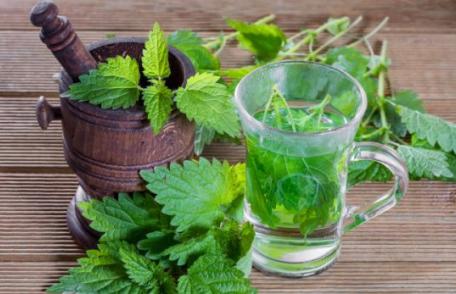 Remedii pentru sănătate și frumusețe pe bază de urzici