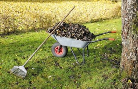 Primăria Municipiului Dorohoi declanșează un amplu program de salubrizare sub egida „Luna curățeniei”