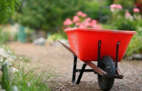 Primăria și Consiliul Local Lozna demarează în această perioadă programul „Luna curățeniei”