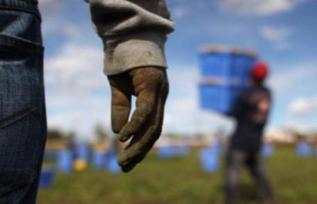 Patru români, sclavi în Sicilia. Patronul îi obliga să muncească 13 ore pe zi