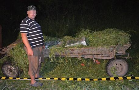 Contrabandist prins cu ţigările în căruţă - FOTO