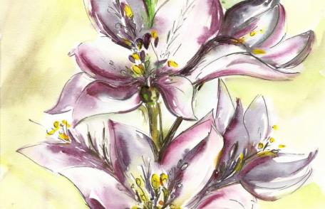 Constanța Abalașei Donosă: Sub semnul prețuirii