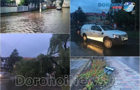 Copaci și crengi rupte de vânt la Dorohoi! Furtuna a afectat mai puternic nord-estul județului - FOTO