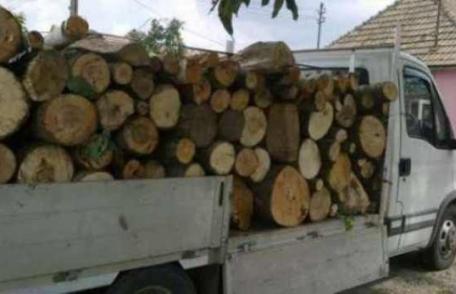 Material lemnos confiscat de poliţişti
