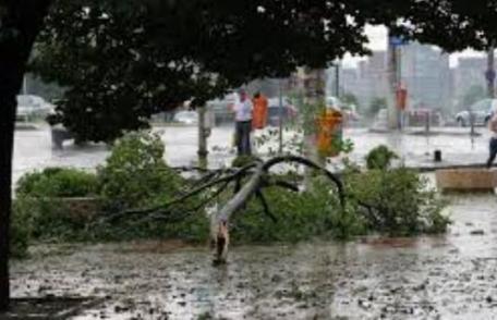ALERTĂ METEO. Cod GALBEN de ploi torențiale, vijelii, descărcări electrice și grindină!