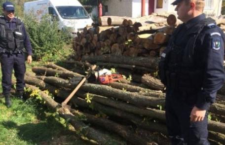 Amendă de 5.000 de lei pentru administratorul unei societăţii. Vezi ce nereguli au găsit polițiștii