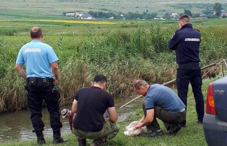 Au ieşit cu undiţa pe baltă şi au pescuit... amenzi