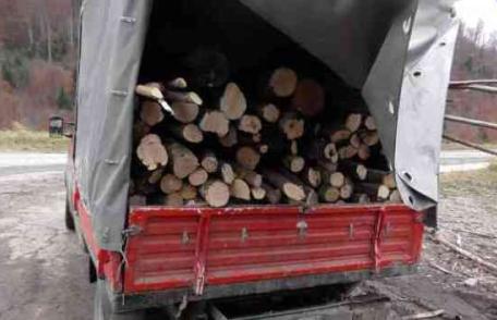Transporta ilegal lemn! A rămas şi fără „marfă” s-a ales și cu o amendă „generoasă”