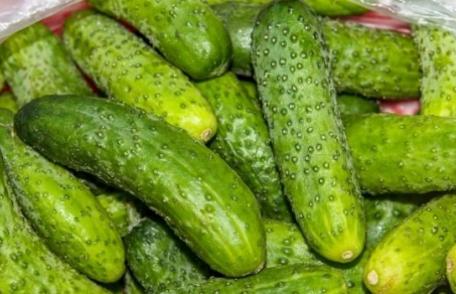 Alertă alimentară: tone de castraveţi contaminaţi au fost retrase de pe piaţă
