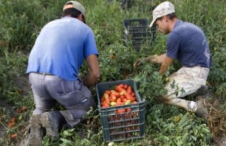 Încă un caz de sclavie în Italia: doi români arestaţi, 30 de persoane abuzate