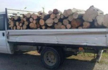 Transport ilegal de lemne confiscat de poliţiştii din Dorohoi