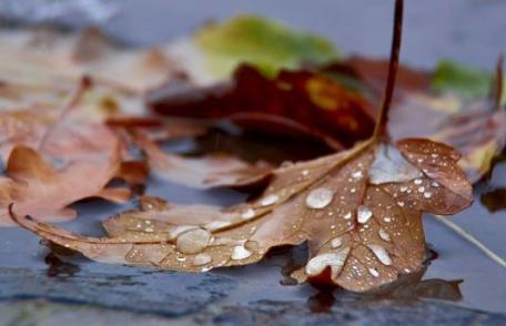 PROGNOZA METEO: Ploile ne mai dau răgaz câteva zile, dar se întorc spre sfârşitul săptămânii